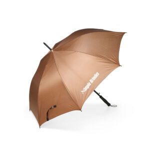 Guarda-Chuva Automático